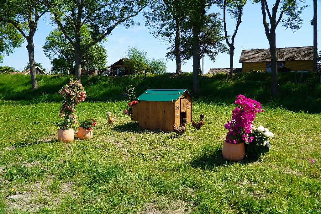Trespa Kippenhok Cucciolotta | Chalet L, Ophalen of Verzenden, Nieuw, Kippenhok of Kippenren