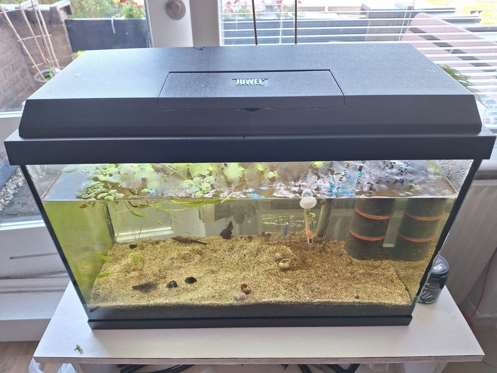 jewel Primo 70l aquarium, Ophalen, Gebruikt, Leeg aquarium