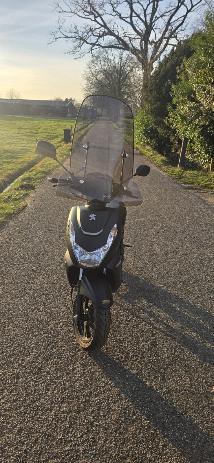 Te koop snorscooter Peugeot.  Kisbee  Black editie., Fietsen en Brommers, Ophalen, Zo goed als nieuw, Benzine, Overige modellen