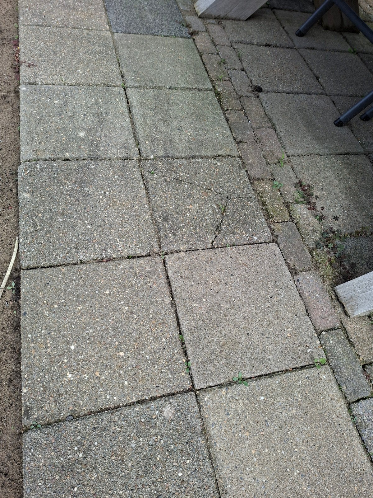 Gratis, stoeptegels. Ongeveer 10m2., Ophalen, Gebruikt, Beton, Terrastegels