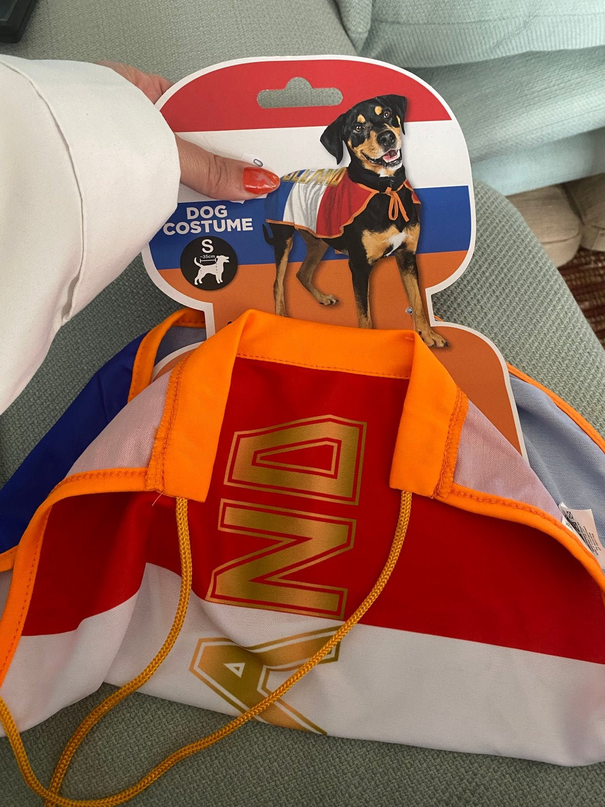 Chihuahua jasje Holland Nederland Oranje nieuw, Ophalen of Verzenden, Nieuw