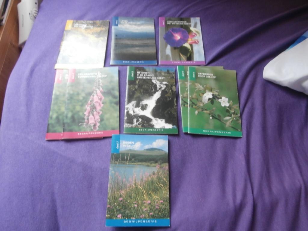 Boek Begrijpen serie Geloof Bidden Heilige Geest Bijbel, Boeken, Godsdienst en Theologie, Ophalen of Verzenden, Gelezen, Agape