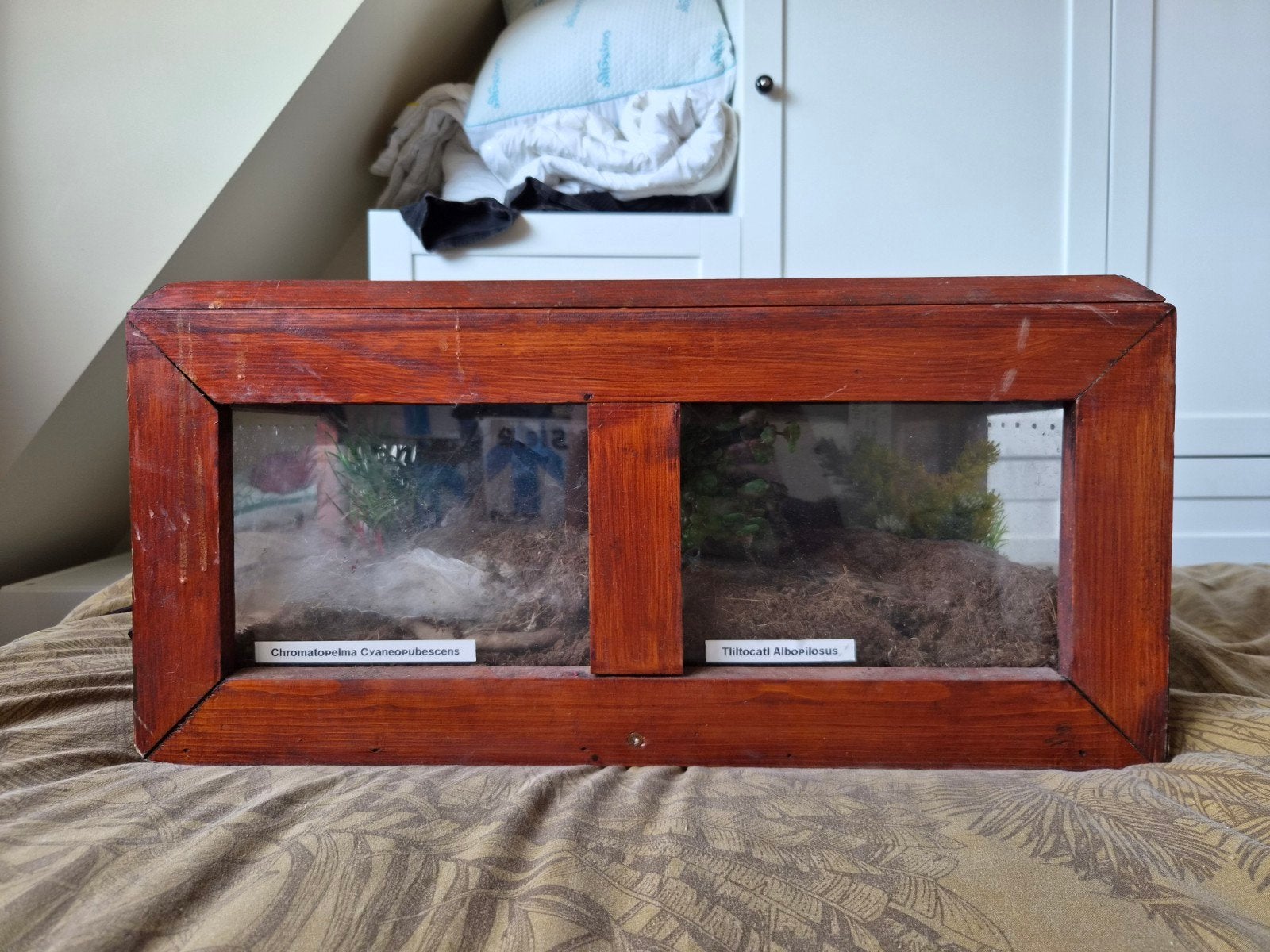 2 terrariums, met warmtemat en led licht, Ophalen of Verzenden, Gebruikt, Terrarium of Paludarium
