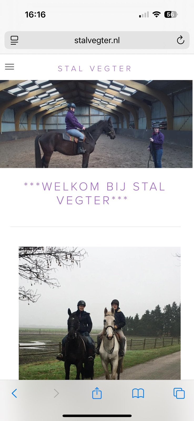 Stal Vegter heeft ruimte voor trainingspaarden, Ophalen of Verzenden
