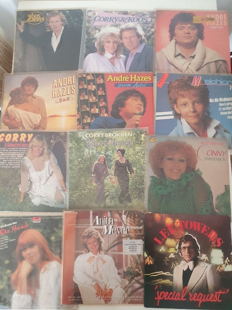 12 stuks LP Nederlandse artiesten diversen, Ophalen of Verzenden, Gebruikt, 12 inch, Levenslied of Smartlap