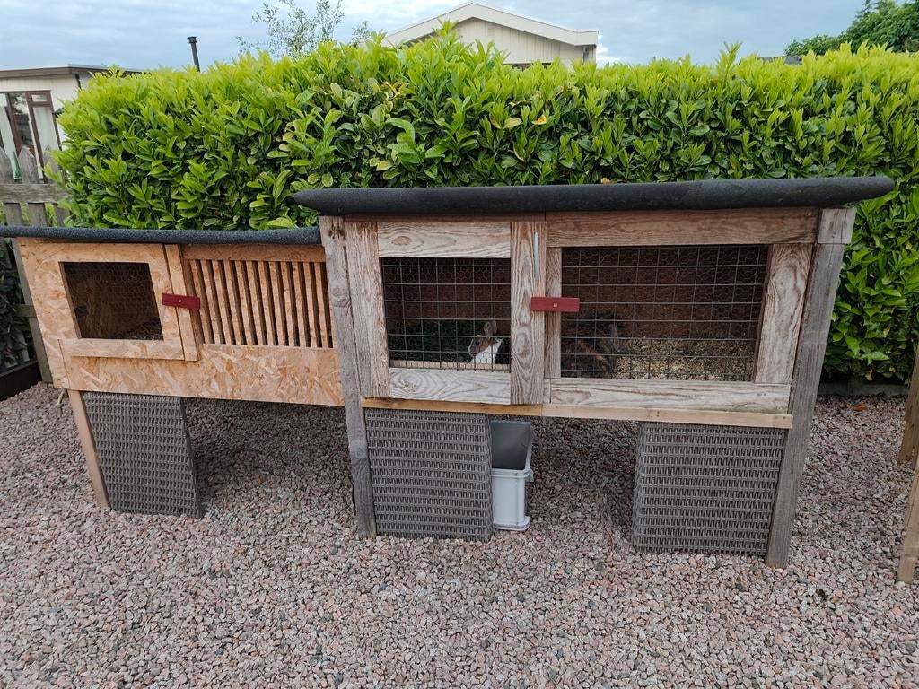 Ruim konijnenhok voor buiten, Dieren en Toebehoren, Knaagdieren en Konijnen | Hokken en Kooien, Gebruikt, Hok, 90 cm of meer, 110 cm of meer