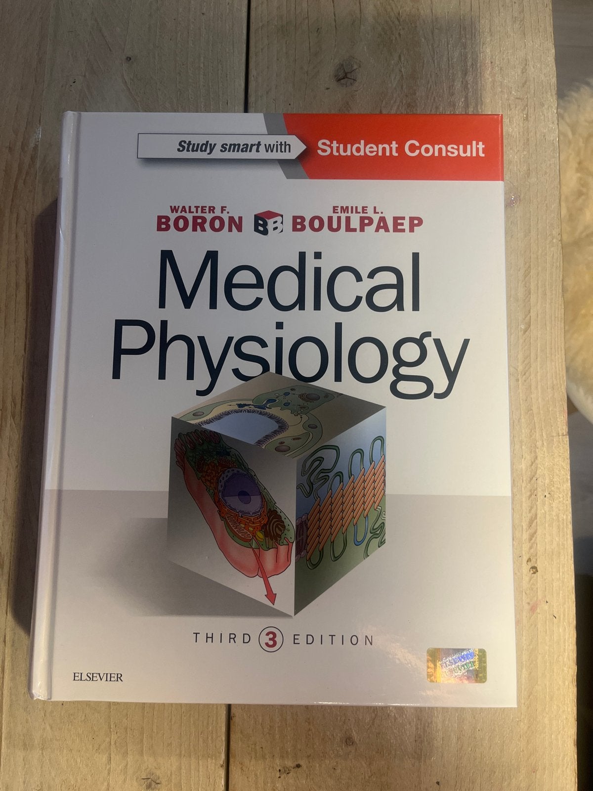 Medical Physiology - Boron & Boulpaep (3e editie), Ophalen of Verzenden, Beta, Nieuw, WO