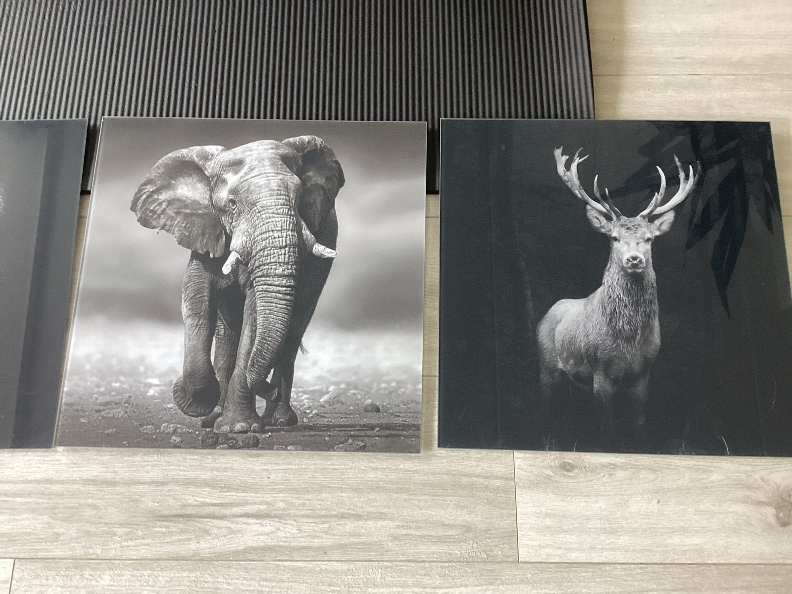 Set van 4 Zwart-Wit Dieren Canvas Schilderijen, Huis en Inrichting, Woonaccessoires | Schilderijen, Tekeningen en Foto's, 50 – 75