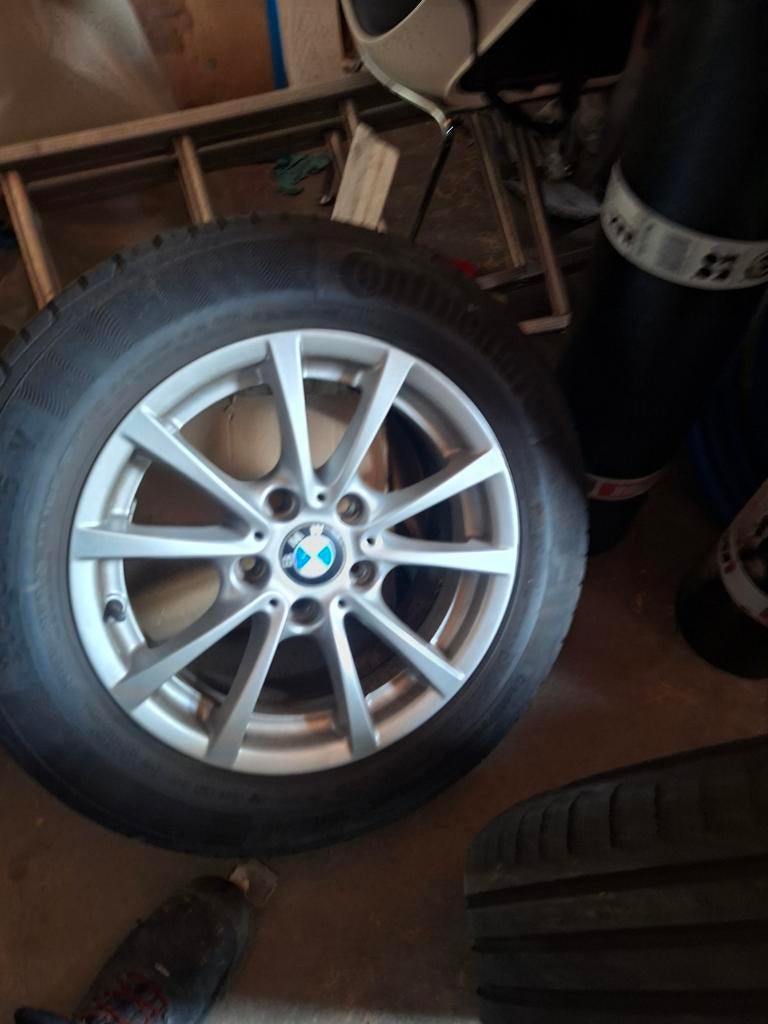 BMW Velgen met banden voor E36/E46, Ophalen, Gebruikt, 16 inch, Banden en Velgen