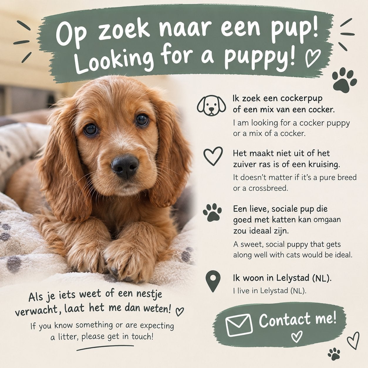 Op zoek naar een Cocker Spaniël pup of een Cocker-mix, Ophalen of Verzenden
