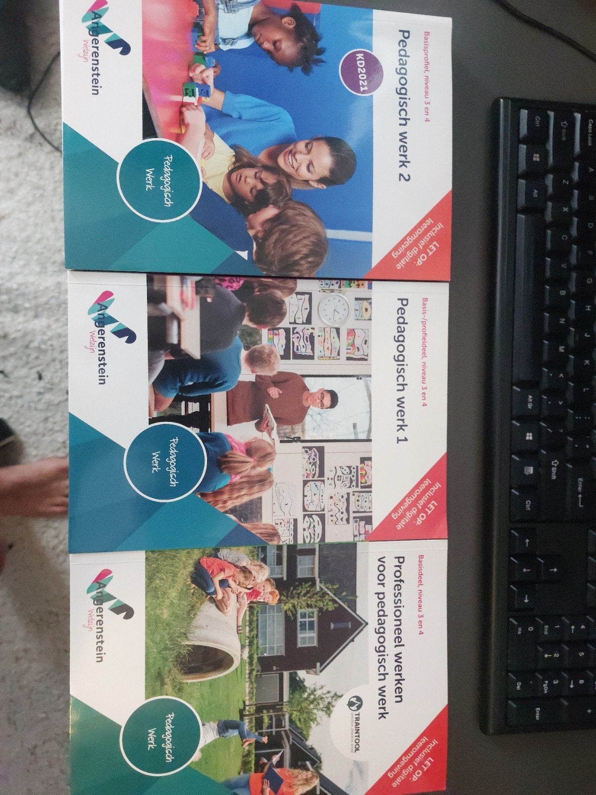 Pedagogisch Werk boeken (deel 1, 2 en Professioneel werken), Ophalen of Verzenden, Zo goed als nieuw, Overige niveaus, Overige vakken