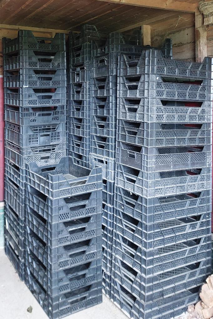 Veenmankisten kratten 60x40 €2,50/st, Doe-het-zelf en Verbouw, Kratten en Dozen, Ophalen, Gebruikt, 40 tot 60 cm, 50 tot 75 cm