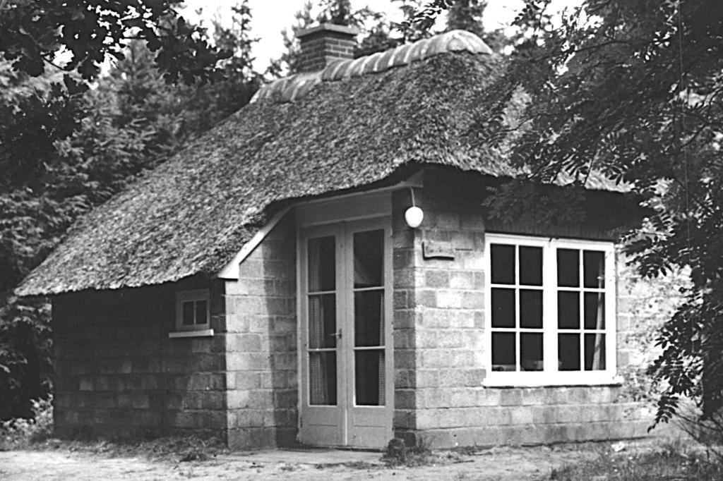 946337 Assen 1974 Bungalow Buiten Centrum Witterzomer niet g, Ophalen of Verzenden, 1960 tot 1980, Ongelopen, Drenthe