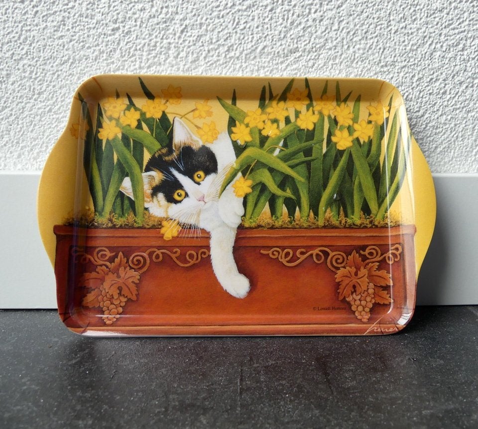 Melamine dienblaadje kat poes kattenprint schildpadpoes, Kunststof, Ophalen of Verzenden, Dienblad, Rechthoekig