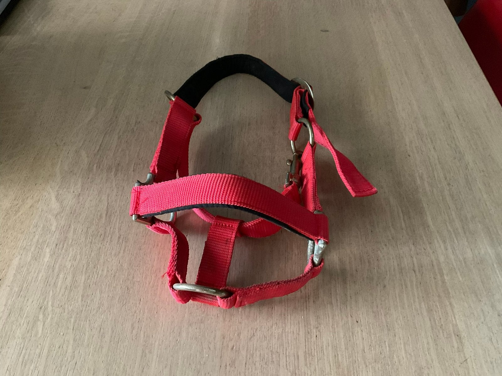 Pony stalhalster kleur rood , ipstaat, Ophalen of Verzenden, Zo goed als nieuw, Rood, Pony