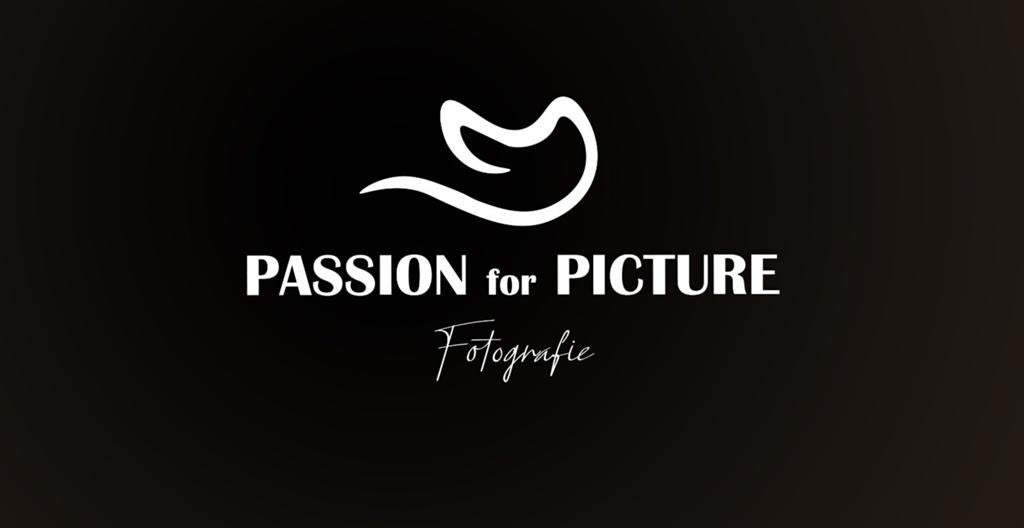 Professionele fotografie voor mens, dier, product & bedrijf, Fotograaf