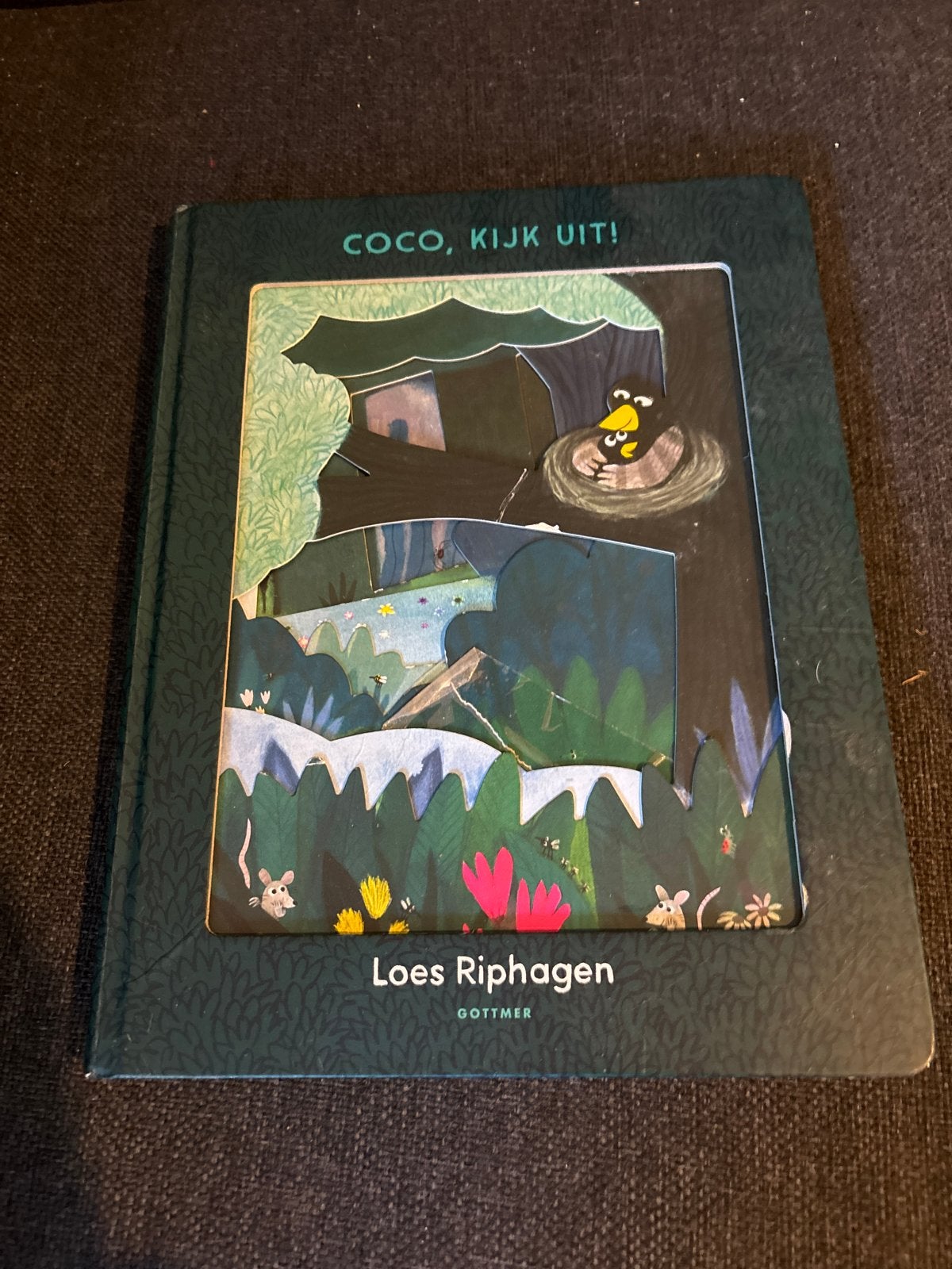 Coco, kijk uit! - Loes Riphagen (Pop-up boek), Gelezen, Fictie algemeen, Uitklapboek, Jongen of Meisje