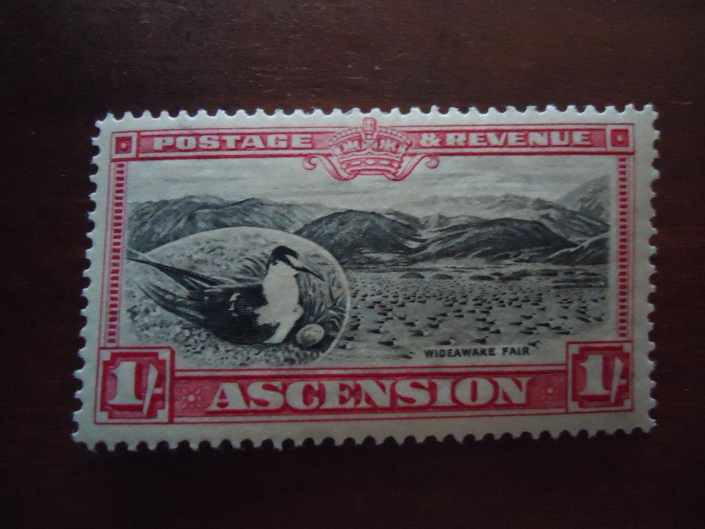 Vogel zwaluw Ascension 1934, mi. 29 ongebruikt, Ophalen of Verzenden, Postfris, Dier of Natuur