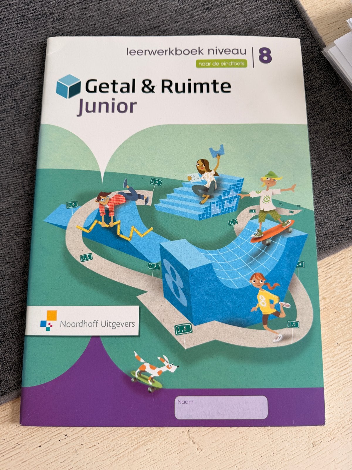 Getal & Ruimte Junior leerwerkboek niveau groep 8, Boeken, Schoolboeken, Ophalen of Verzenden, Zo goed als nieuw, Overige niveaus