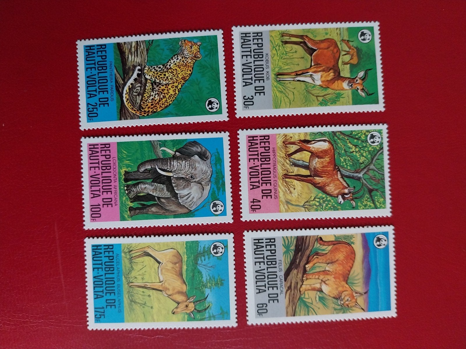 WWF Opper Volta 760-765 dieren 1979 postfris mi 28 euro, Ophalen of Verzenden, Dier of Natuur