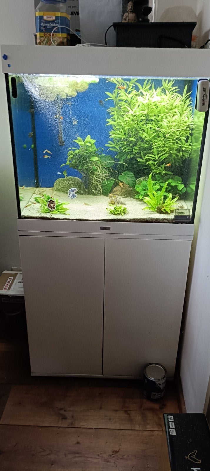 juwel lido 200 compleet verkoop deze week weg €100, Dieren en Toebehoren, Vissen | Aquaria en Toebehoren, Ophalen, Gebruikt, Inclusief toebehoren