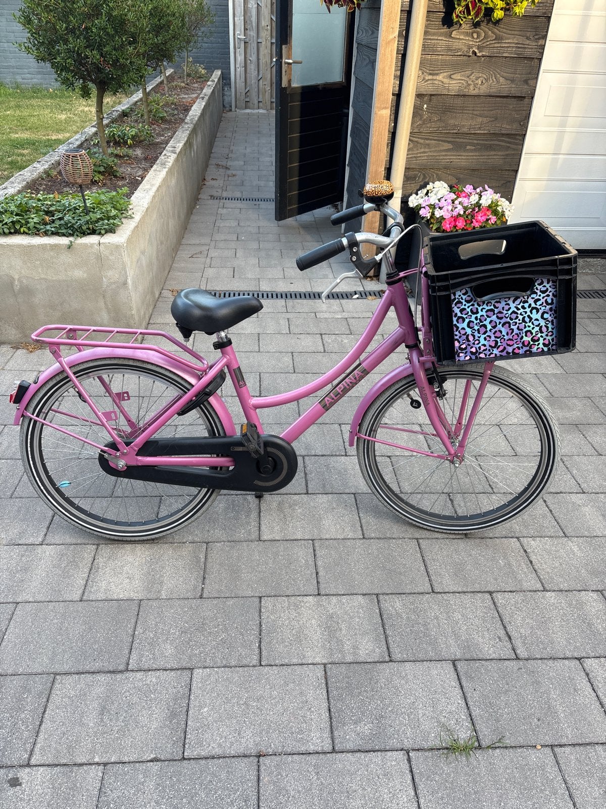 Alpina cargo  22 inch met mandje en terugtraprem, Fietsen en Brommers, Fietsen | Meisjes, Ophalen, Terugtraprem, 22 inch, Handrem