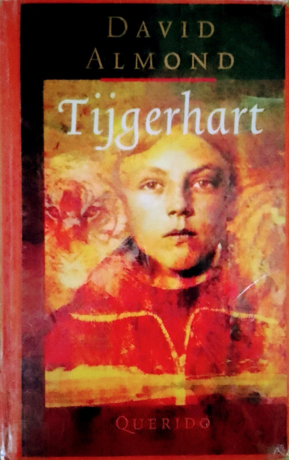 Tijgerhart, Gelezen, Ophalen of Verzenden, Fictie, David Almond.