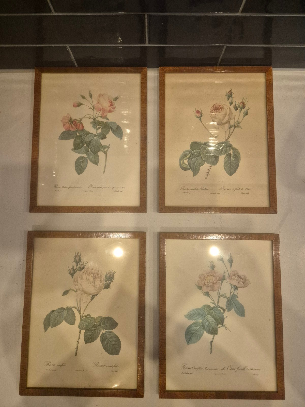 Set van 4 antieke rozen botanische prenten, ingelijst, Ingelijst, 1950 - 1999, Ophalen of Verzenden, Flora en Fauna