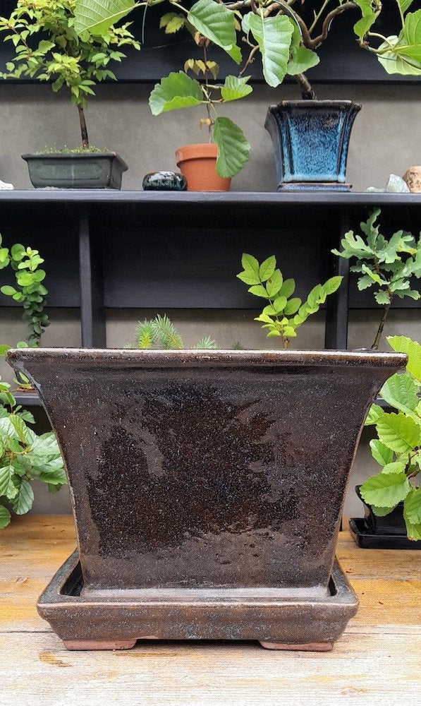 Grote bloempot Bonsai schaal / pot buiten, Gebruikt, Vierkant, Minder dan 40 cm, Ophalen