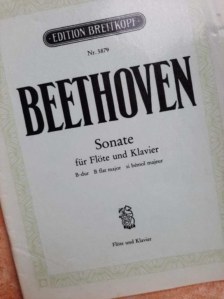 Bladmuziek fluit. blokfluit, hobo, viool en piano 11 boeken, Muziek en Instrumenten, Bladmuziek, Klassiek, Overige soorten, Piano