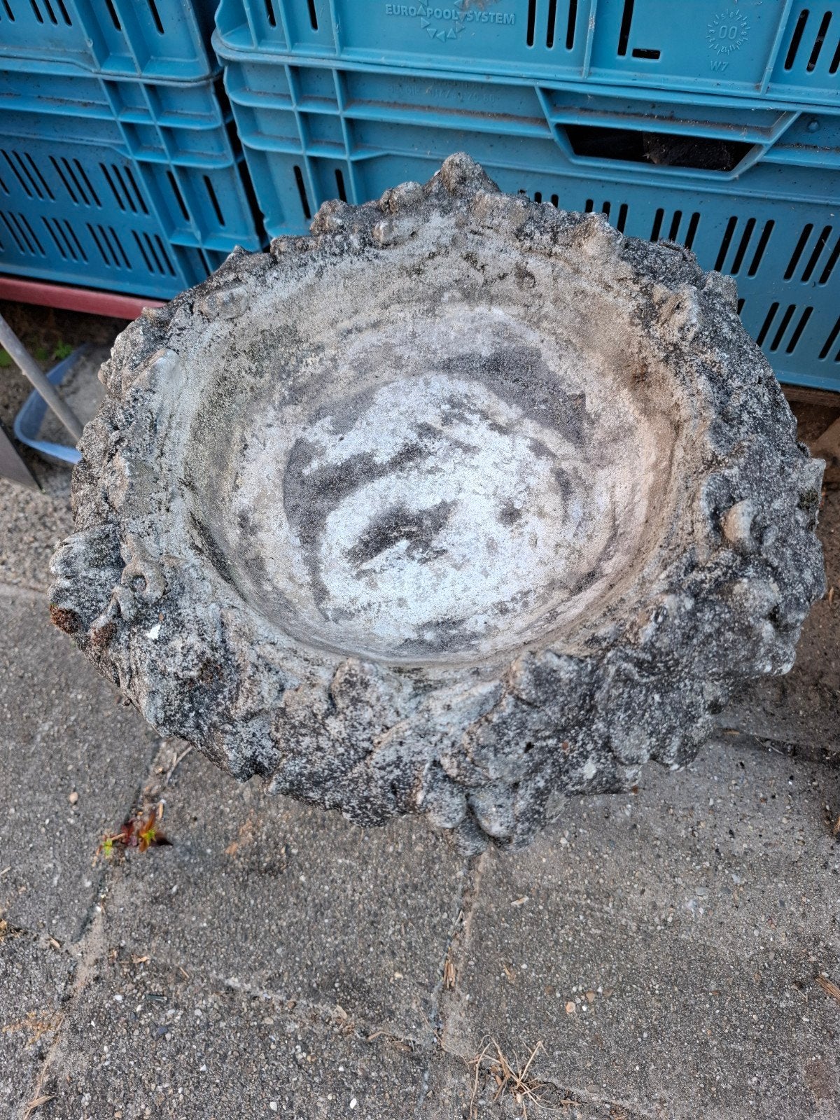 Drink of badbak voor vogels, Ophalen
