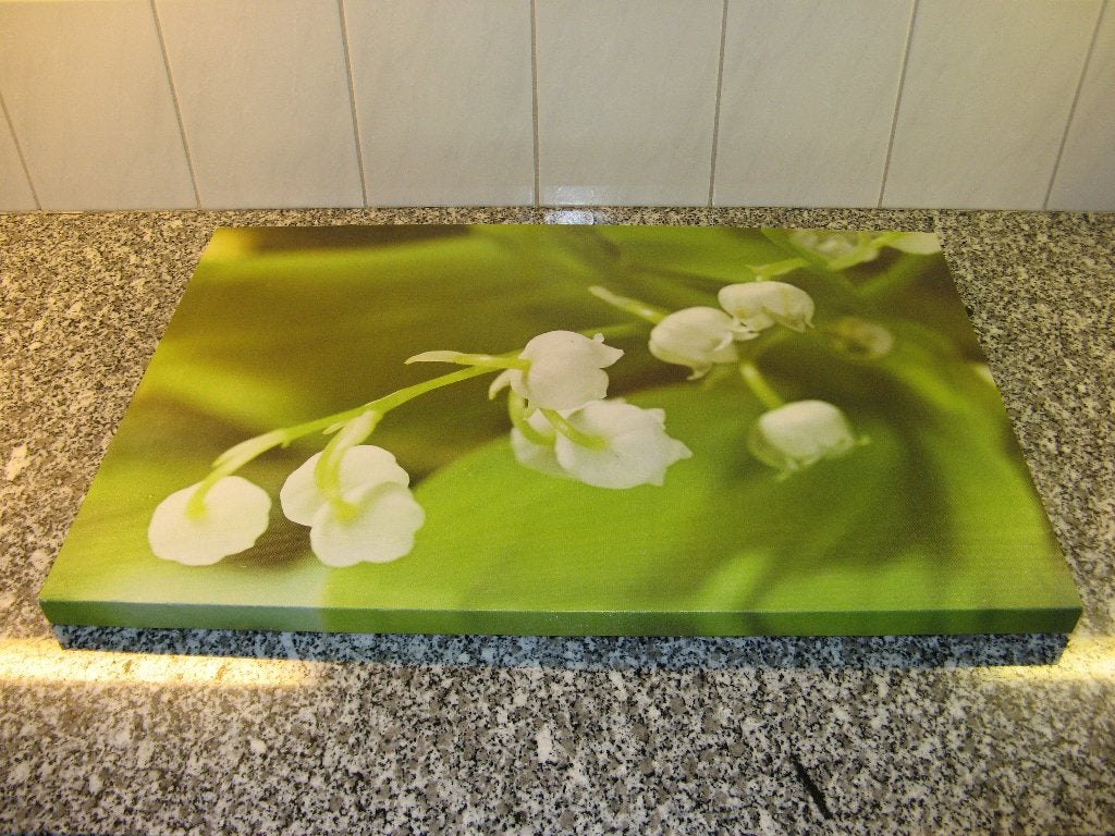 schilderij lelietjes van dalen, Ophalen of Verzenden, 5 – 50, 50 tot 75 cm, Print