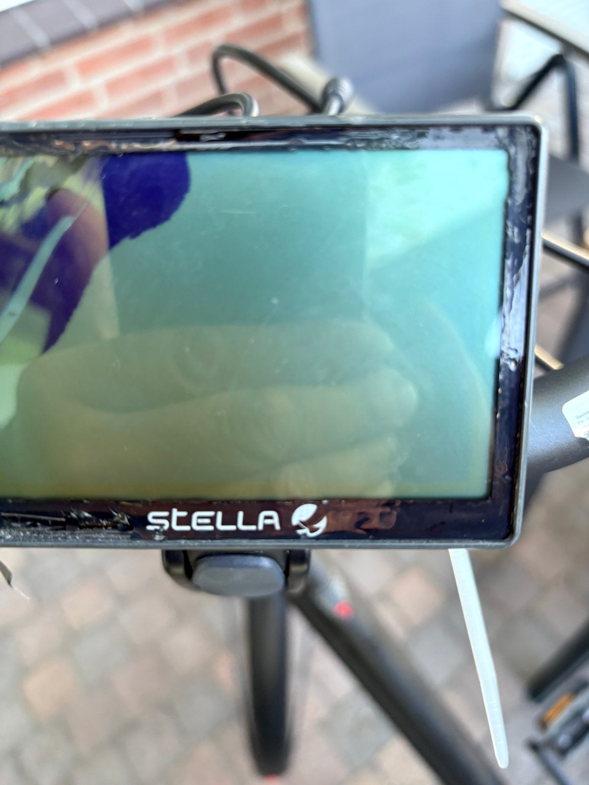 GEZOCHT display stella met vogel, Ophalen of Verzenden, Zo goed als nieuw