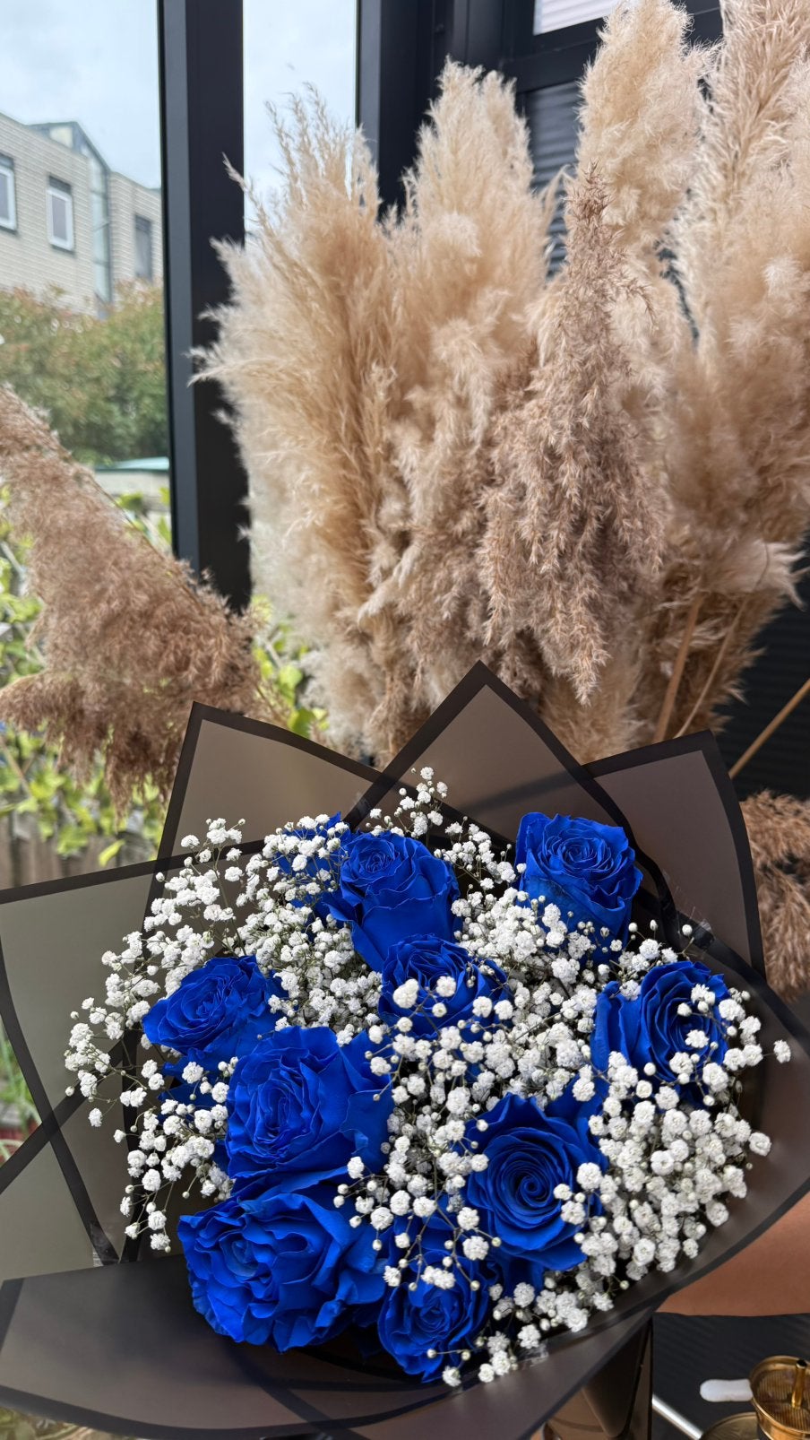 Echte blauwe rozen, Ophalen, Halfschaduw, Minder dan 100 cm