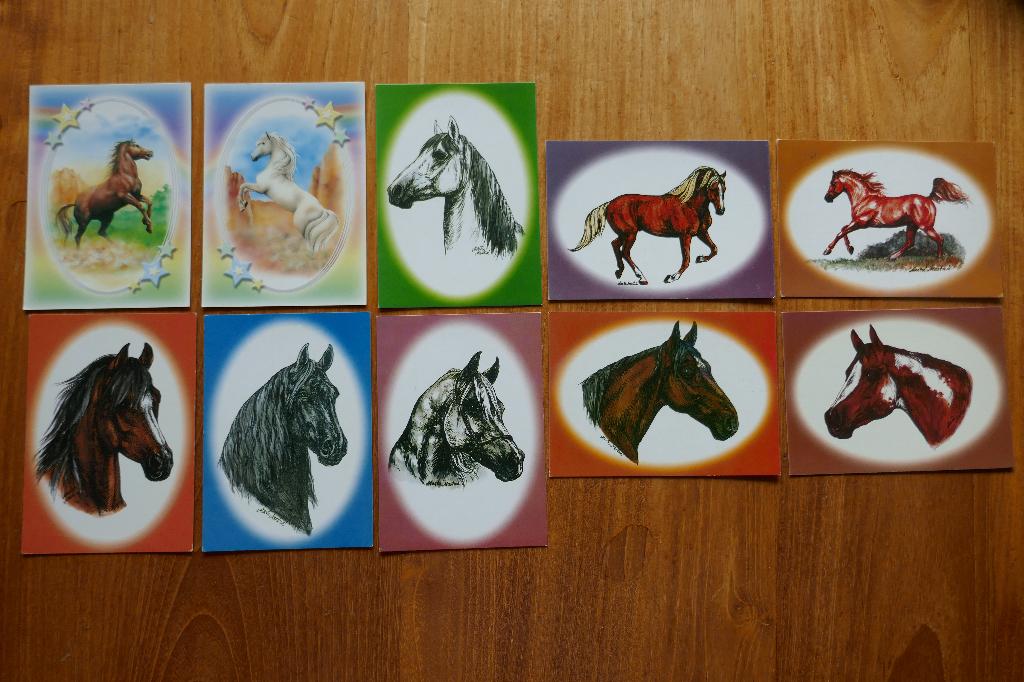 Set 10 ansichten kleurrijke tekening Paard Pony, Ophalen of Verzenden, 1980 tot heden, Ongelopen, Paard