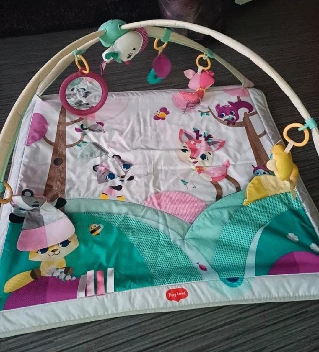 Tiny Love Speelkleed met Babygym, Kinderen en Baby's, Speelgoed | Babyspeelgoed, Ophalen