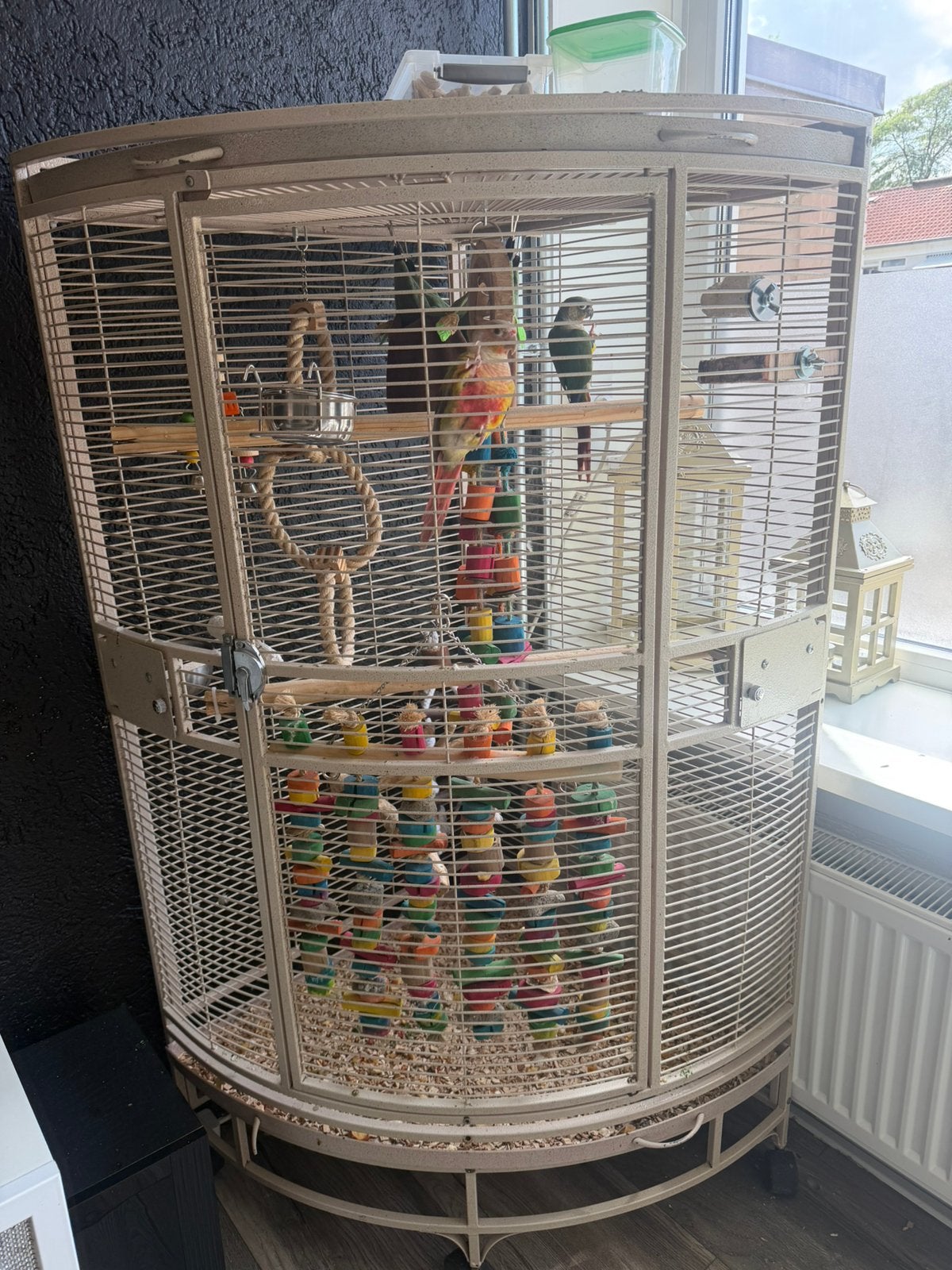 pyrrurha’s met kooi, Dieren en Toebehoren, Ophalen, Gebruikt, Aluminium, Vogelkooi