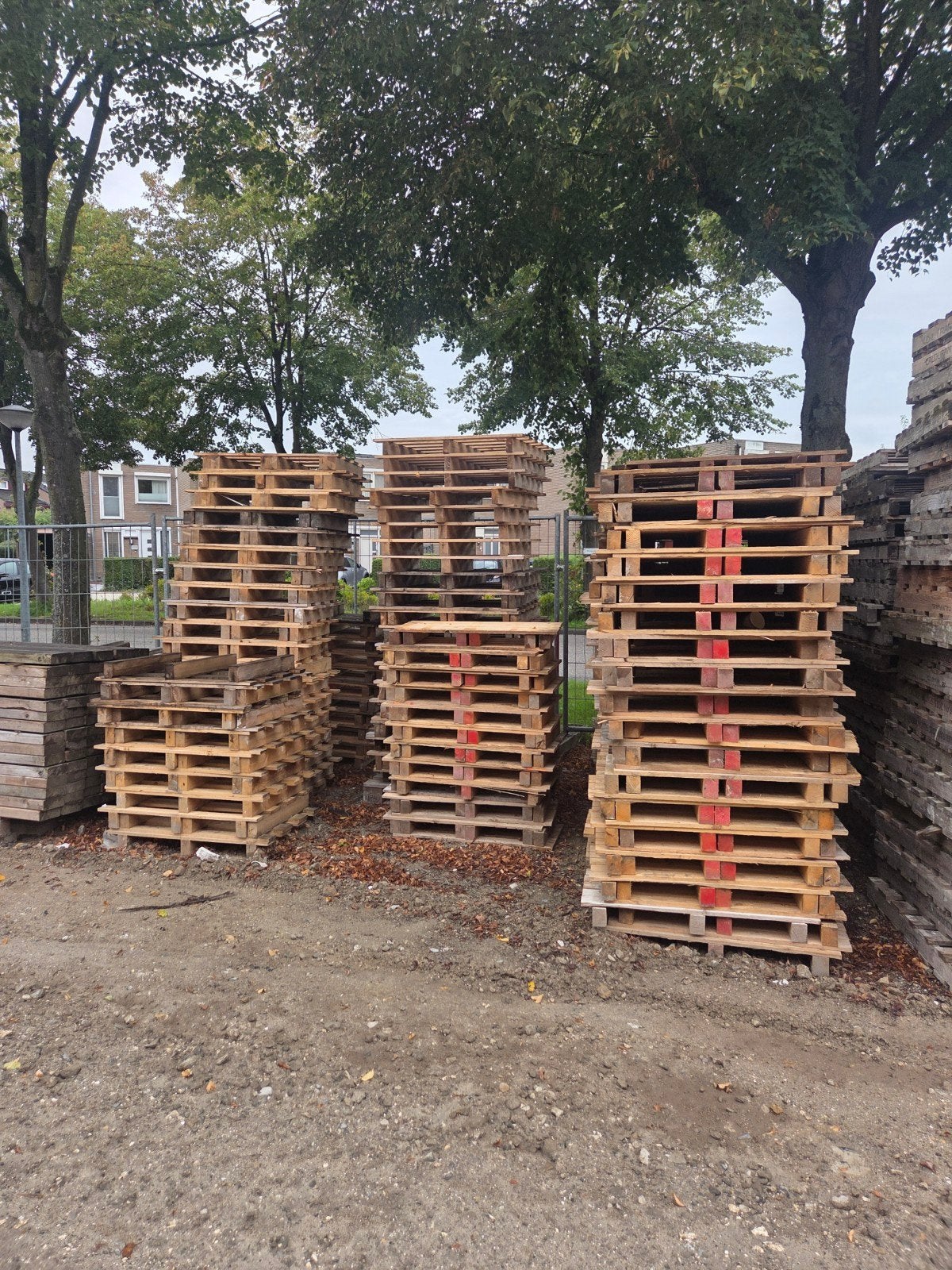 gratis pallets lelystad, Ophalen, 50 mm of meer, Pallet, Minder dan 200 cm