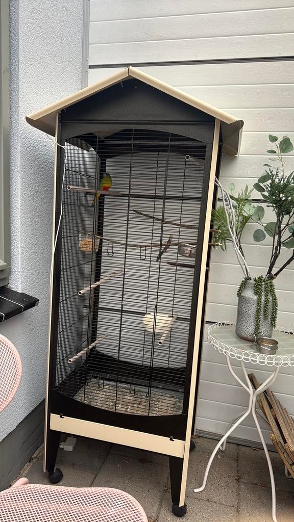Groot vogel kooi, Ophalen of Verzenden, Zo goed als nieuw, Metaal, Vogelkooi