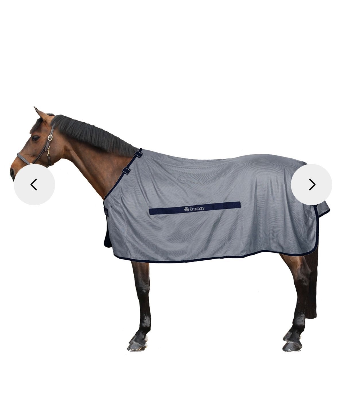 GEZOCHT!! Bucas Buzz off 6’0, Dieren en Toebehoren, Paarden en Pony's | Dekens en Dekjes, Ophalen of Verzenden