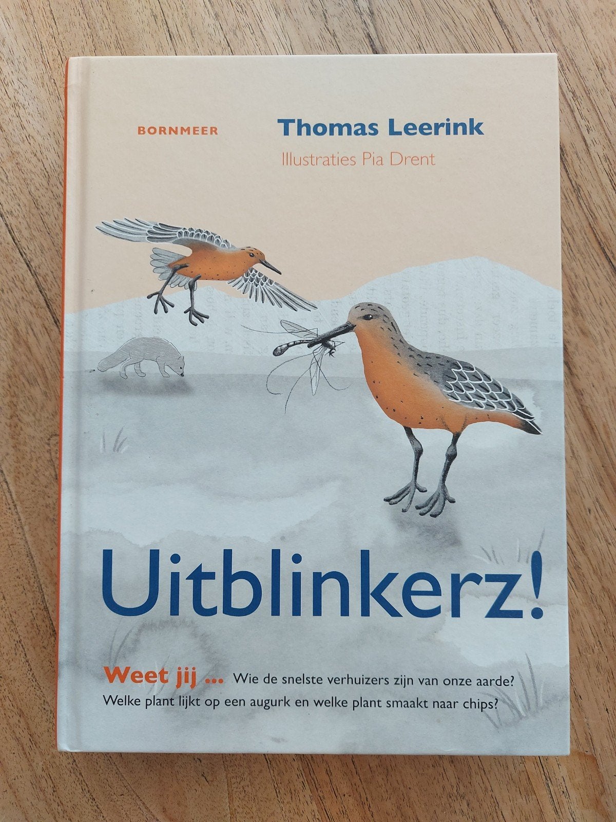 Boek Uitblinkerz! Avontuur Waddenzee, Boeken, Avontuur en Actie, Ophalen of Verzenden
