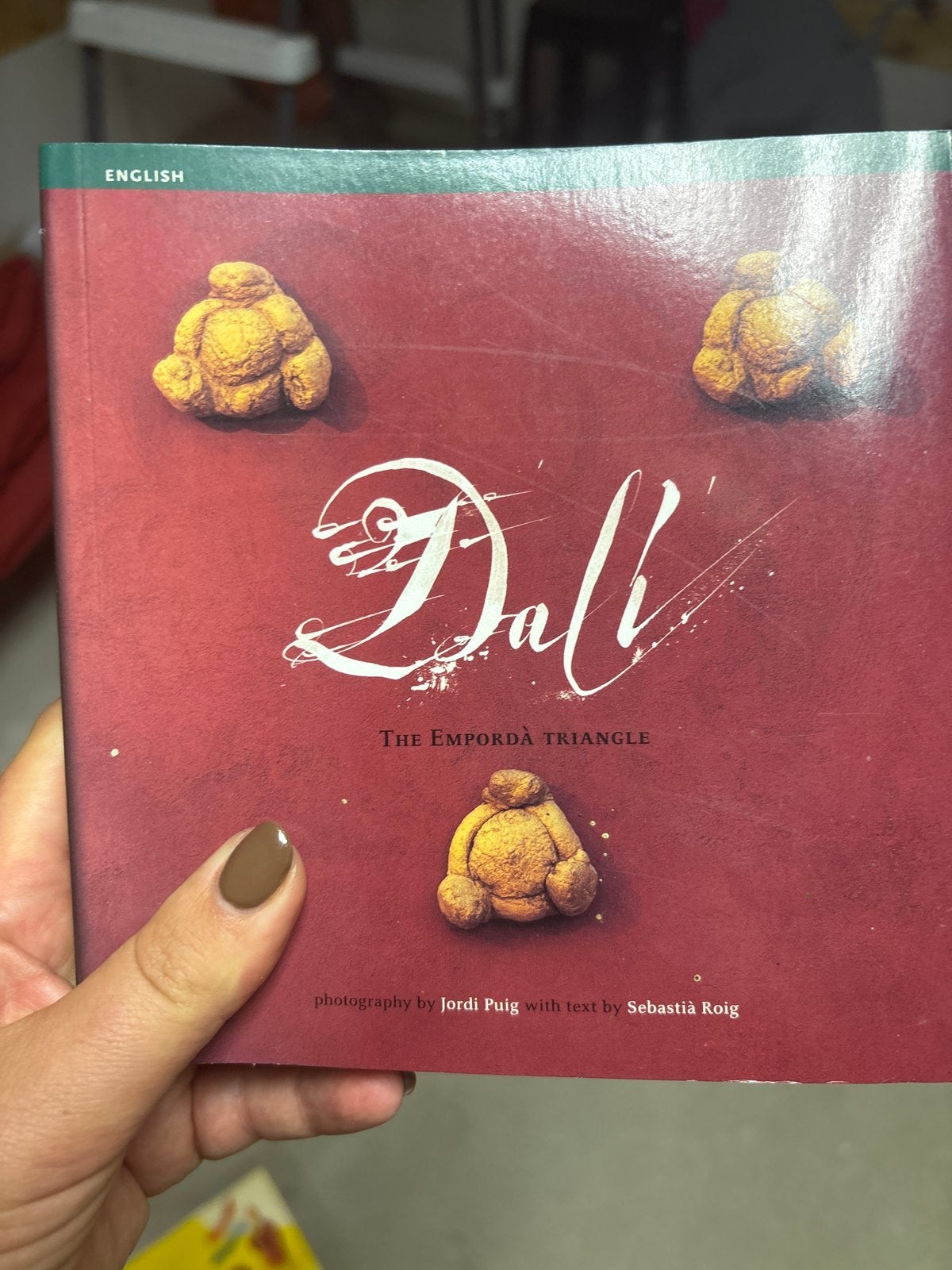 Dali: The Empordà Triangle - Fotoboek, Ophalen of Verzenden, Zo goed als nieuw, Overige onderwerpen