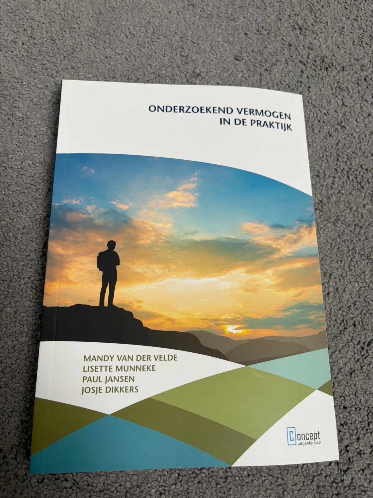 Mandy van der Velde - Onderzoekend vermogen in de praktijk, Ophalen of Verzenden, Zo goed als nieuw, Nederlands, Overige niveaus