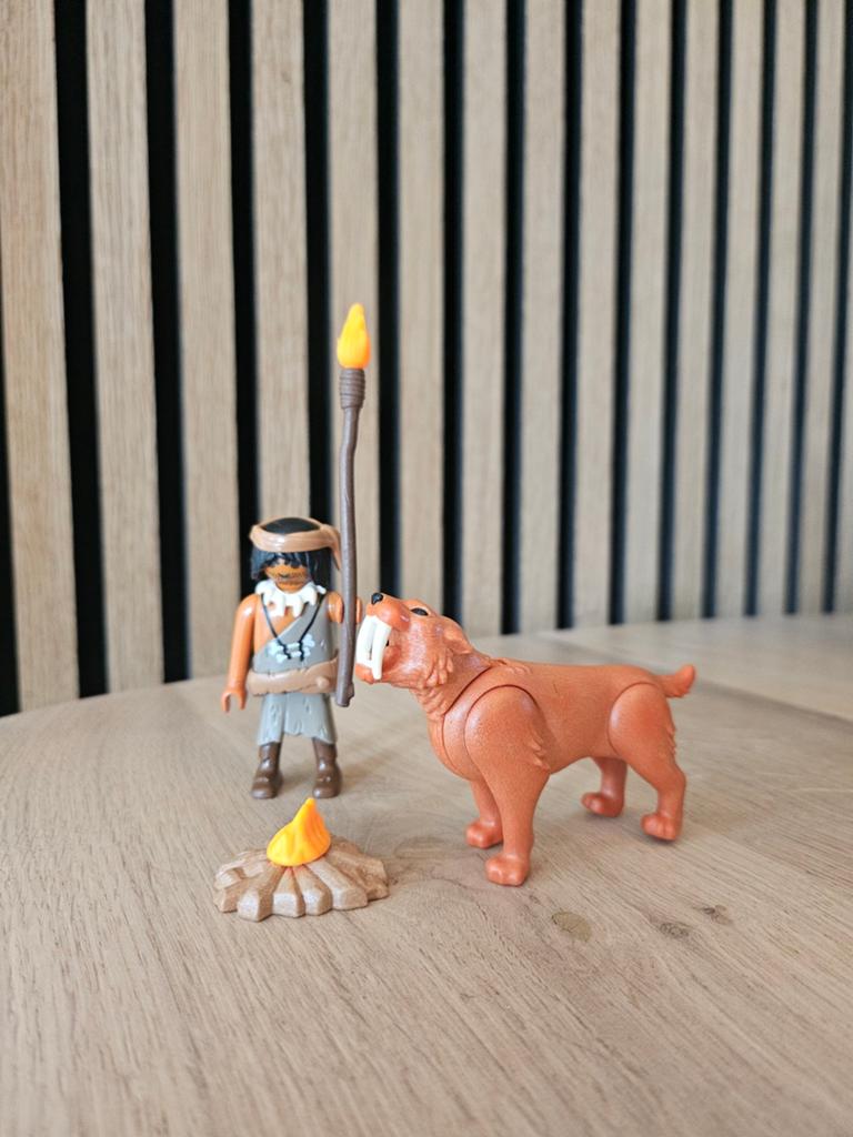 Playmobil div setje, Ophalen