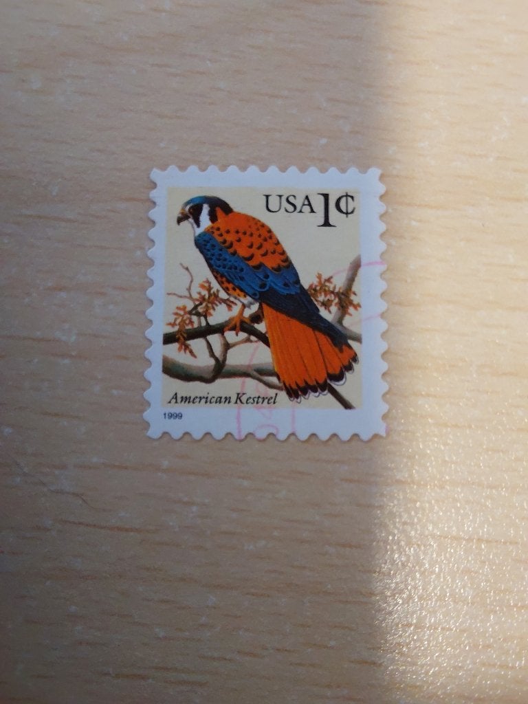Amerika roofvogel torenvalk, Verzenden, Gestempeld, Noord-Amerika