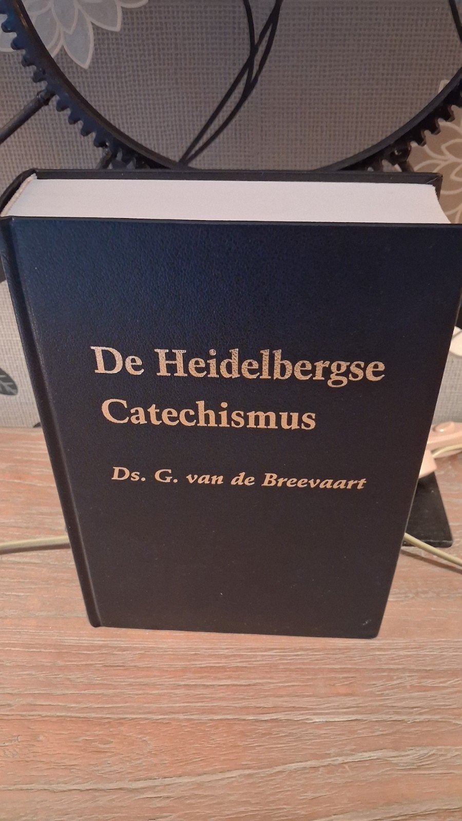 De Heidelbergse Catechismus - Ds. G. van de Breevaart, Boeken, Ophalen of Verzenden, Zo goed als nieuw, Ds. G. van de Breevaart