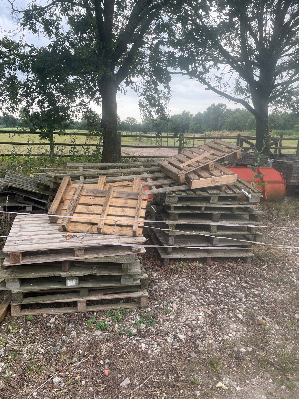 Gratis af te halen: 20 pallets voor in de kachel, Ophalen, Gebruikt, 50 mm of meer, Pallet
