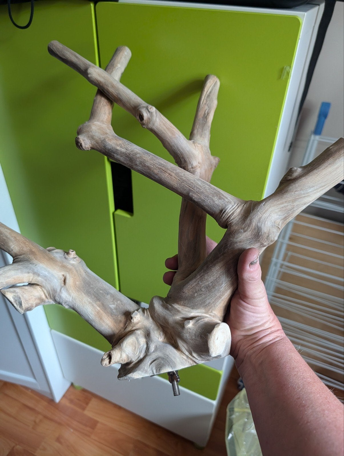 kromsnavel speelgoed en kooi decoratie, Dieren en Toebehoren, Vogels | Toebehoren, Ophalen of Verzenden, Zo goed als nieuw, Kooi-accessoires