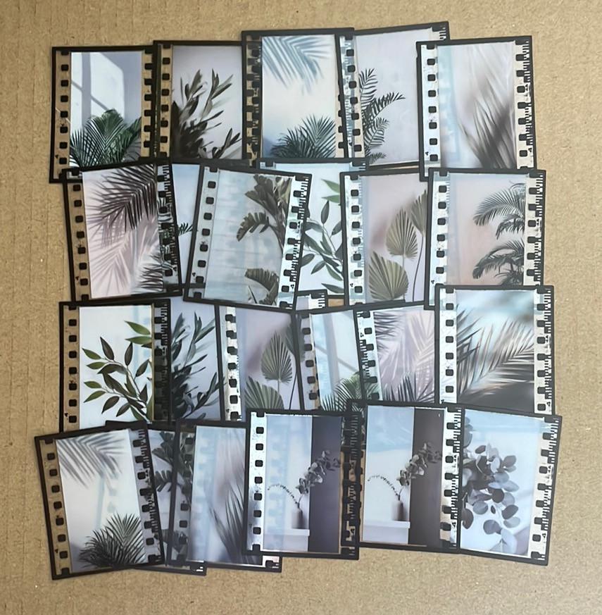 Fotorolletjes planten schaduwen stickers, Verzenden, Nieuw, Meerdere stickers