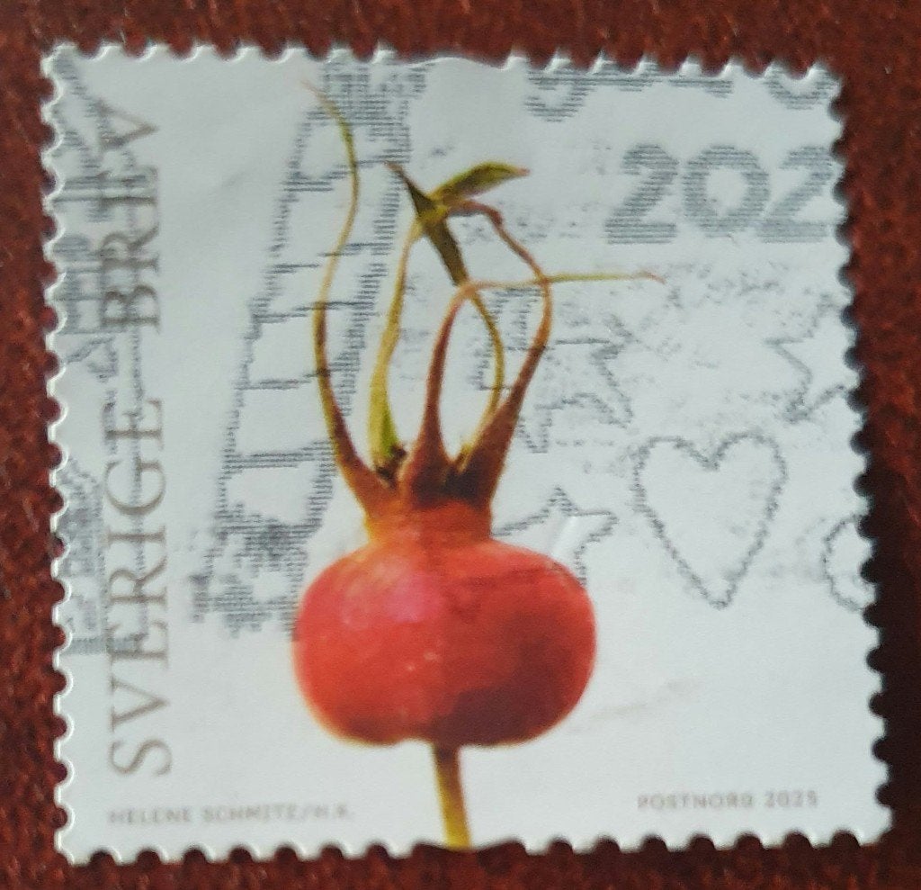 294-26 Zweden 2025 / Rozenbottel, Ophalen of Verzenden, Zweden, Gestempeld
